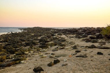 Rocky Coastal Shoreline at Sunset with Distant Trees and Ocean