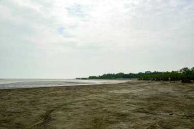 Tranquil Coastal Beach At Low Tide With Mangrove Trees In Distance And Calm Sky