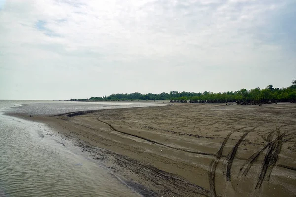 Tranquil Coastal Beach At Low Tide With Mangrove Trees In Distance And Calm Sky
