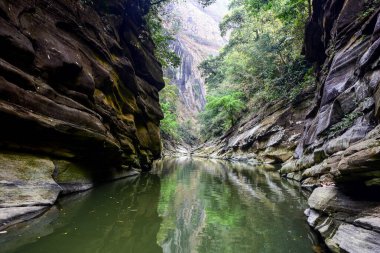 Scenic Canyon View with Reflections and Lush Greenery