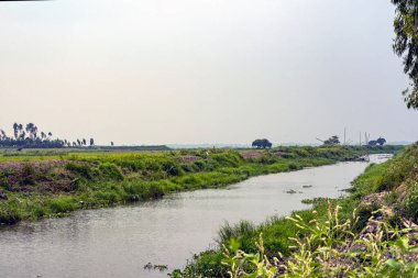 Scenic River Landscape with Lush Greenery and Open Sky Horizon