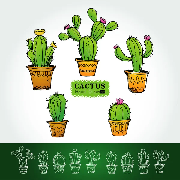Cactuses in flower pot Vector illustration — Stock Vector