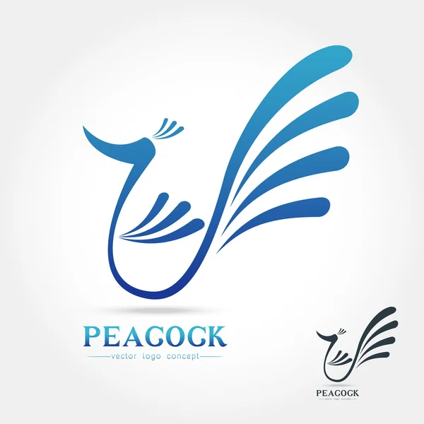 Peacock logo design template — Stock Vector