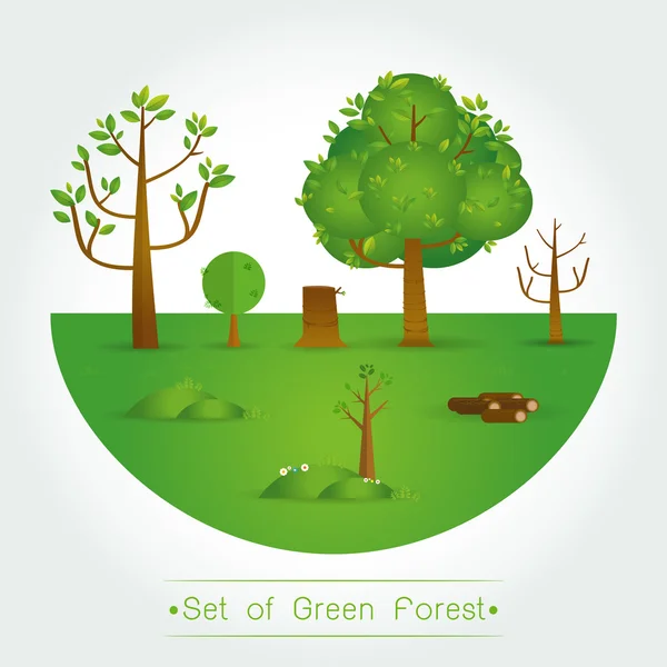 Sada zeleného lesa, stromů a keřů — Stockový vektor