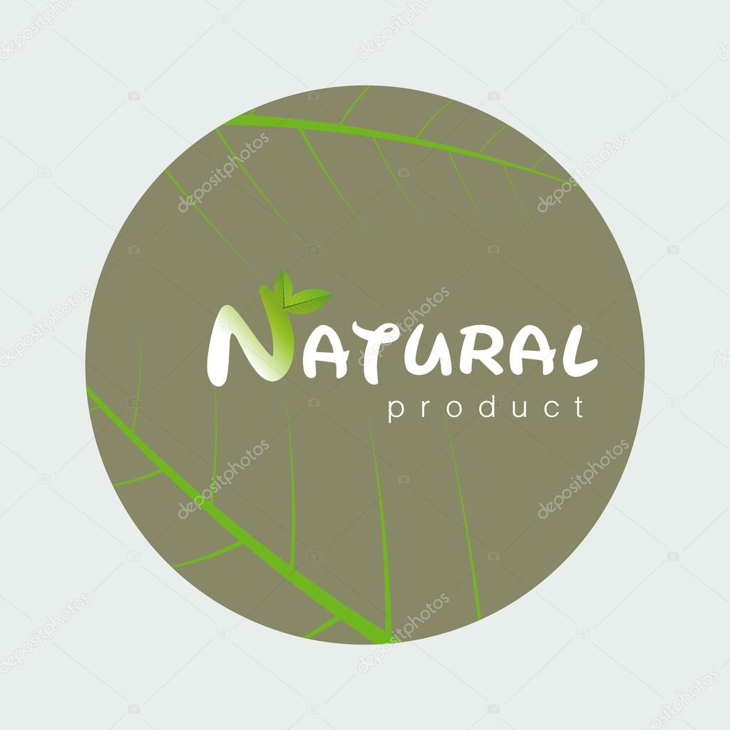 Natural product logo design template Vector illustration. Branch with green leaves