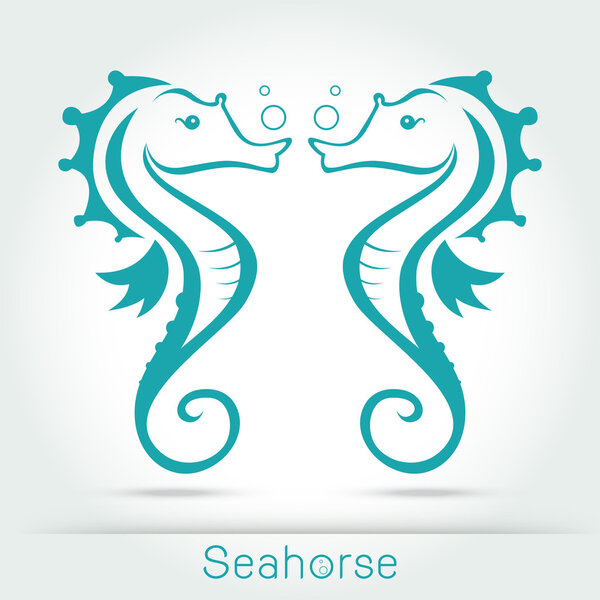 Twin seahorse with sponge, monochromatic