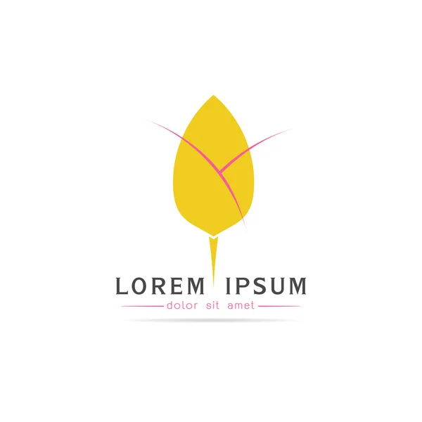 Logo fleur de lotus — Image vectorielle
