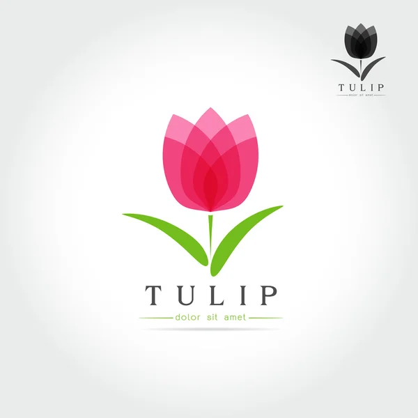 Bud tulipa simples com design de folhas — Vetor de Stock