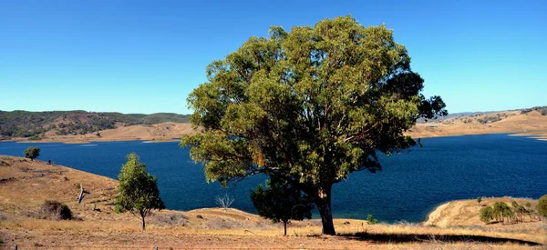 Malerischer Blick auf den See — Stockfoto