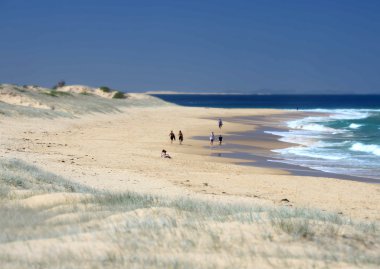 Newcastle Avustralya kumsalda