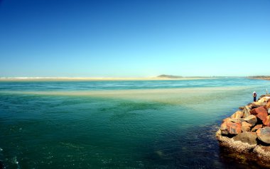 Harrington beach adlı balık adam