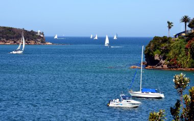 Sydney Chinamans beach
