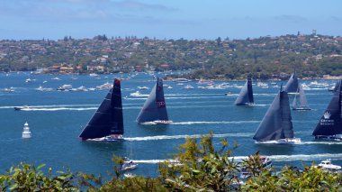 Sydney'e hobart yat yarışı 