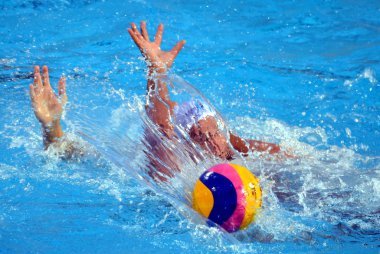 Waterpolo Avrupa Şampiyonası