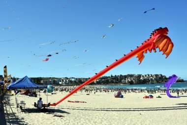 Uçurtma el ilanları ve Bondi Plajı'nda turistler