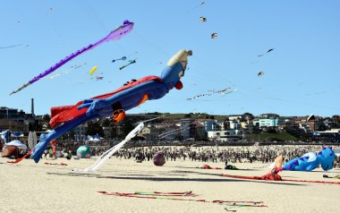 Uçurtma el ilanları ve Bondi Plajı'nda turistler