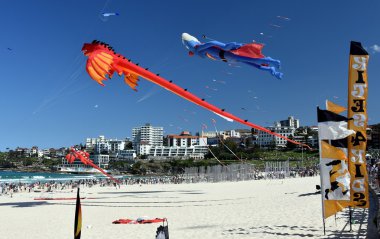 Uçurtma el ilanları ve Bondi Plajı'nda turistler