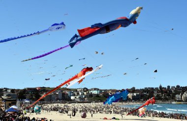 Uçurtma el ilanları ve Bondi Plajı'nda turistler