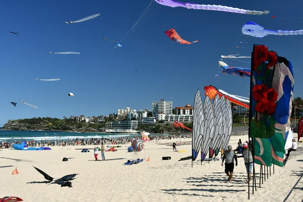 Volantes de cometas y turistas en Bondi Beach — Foto de Stock