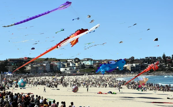 Kite flyers and tourists at Bondi Beach — Stock Photo, Image