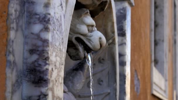 Fonte e basílica cúpula - Roma, Itália — Vídeo de Stock