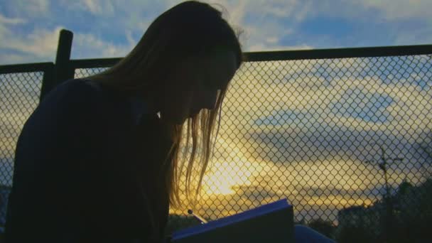 Aranyos fiatal lány ült a játszótéren a alkonyatkor silhouette napló írás — Stock videók