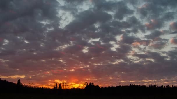 Seara nori de pădure cer timp-lapse, Ural, Siberia — Videoclip de stoc