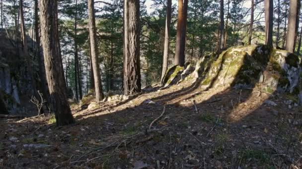 Banco íngreme de um rio montês, floresta de pinheiro, Ural, Sibéria — Vídeo de Stock