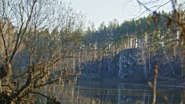 Bomen op de berg rivier de Tsjoesovaja in Siberië, Oeral, Rusland — Stockvideo