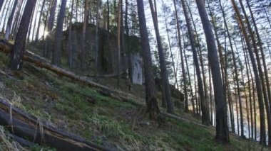 dik Nehri'nin bir dağ, Ural, Sibirya