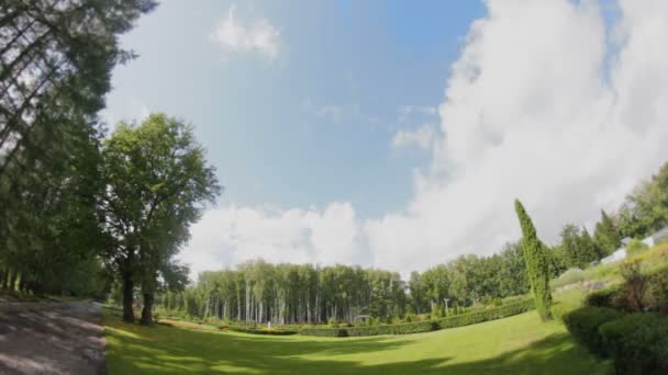 Timelapse al aire libre en el parque — Vídeo de stock