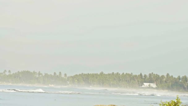 ドミニカ共和国の波、カリブ海岸のヤシの木スローモーション — ストック動画