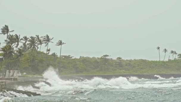 Extreme wave crushing coast, caribbean sea, slow-motion — Stock Video