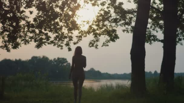 Jovem mulher atraente caminhando para o lago na floresta ao entardecer — Vídeo de Stock