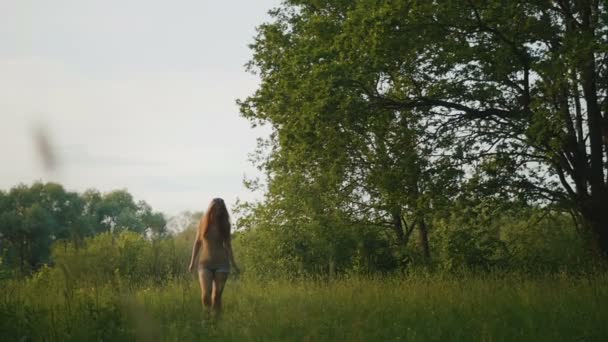 Mooie jonge vrouw in korte broek in glazen wandelingen op weide bij schemering, slow motion, tele — Stockvideo