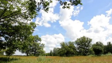 Bulutlar çayır üzerinde uçan hızlandırılmış