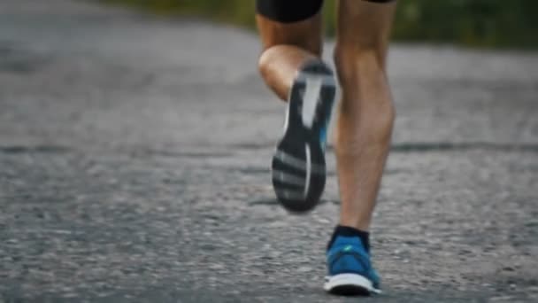 Las piernas de un corredor corriendo en el parque en asfalto al atardecer, primer plano, cámara lenta — Vídeo de stock