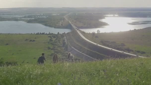 Groep van jonge gelukkig vrienden wandelen op een hoge heuvel's zomeravond, gaan naar de camera — Stockvideo