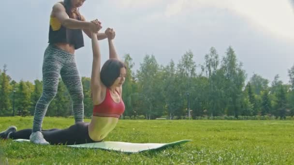 Jovens mulheres do esporte fazendo exercícios de alongamento para a coluna vertebral no parque, dolly shot — Vídeo de Stock