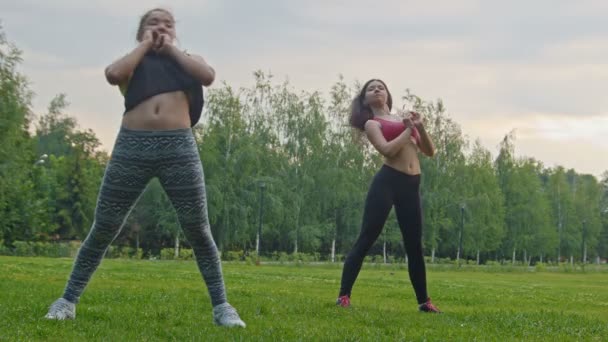 Jeunes femmes sportives sexy faisant de l'exercice flexible pour le corps dans le parc — Video