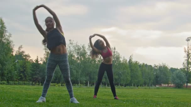 Jovens mulheres esportivas fazendo exercícios flexíveis para o corpo no parque — Vídeo de Stock