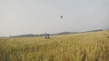 Genç çift - uçurtma ile kulakları buğday çayır on çalışan kadın ve erkek. geniş açı