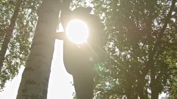 Mladá atraktivní sportovní žena se snaží dělat protahovací cvičení poblíž bříza v parku nad slunce, dolly shot — Stock video