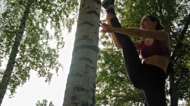 Unga attraktiva sport kvinna gör stretching övningar nära Björk i parken under solen, dolly skott — Stockvideo