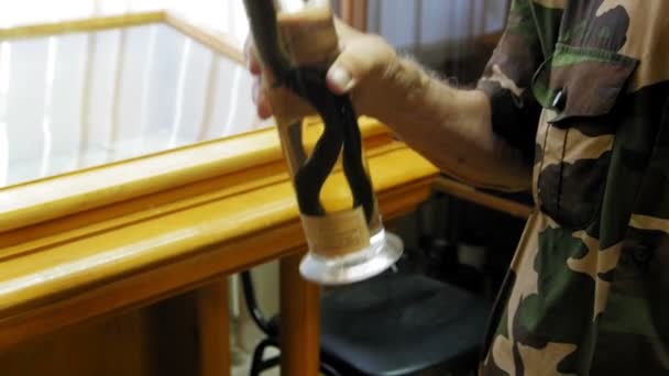Ein Wissenschaftler zeigt die Schlangenprobe im Reagenzglas: Wiesenotter - vipera ursinii, Nahaufnahme — Stockvideo