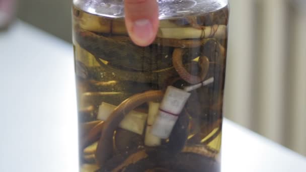 La main du scientifique tourne l'échantillon de différents serpents dans le tube à essai de près — Video