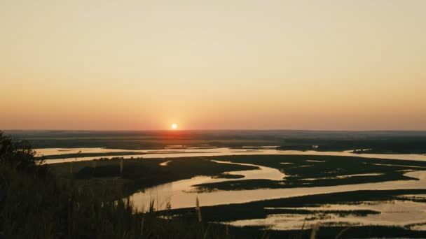 Летний пейзаж с рекой и медом, широкий угол, временной промежуток — стоковое видео