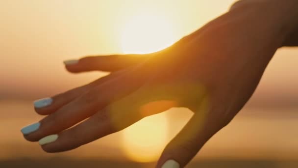 Ehering an den Fingern gelegt Hände berühren Sonnenuntergang Braut Bräutigam Mann Frau Heiratsantrag Urlaub Flitterwochen, Silhouette — Stockvideo