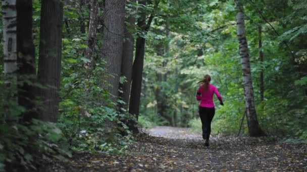 Läuferin läuft im Herbstpark bei trübem Wetter im Freien - Regen, knallpinkfarbener Trainingsanzug, Rückansicht, Nahaufnahme — Stockvideo