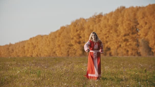 Εκπαίδευση στον τομέα του φθινοπώρου - μια μαχητική γυναίκα με κόκκινο φόρεμα χειρίζεται με δύο σπαθιά — Αρχείο Βίντεο
